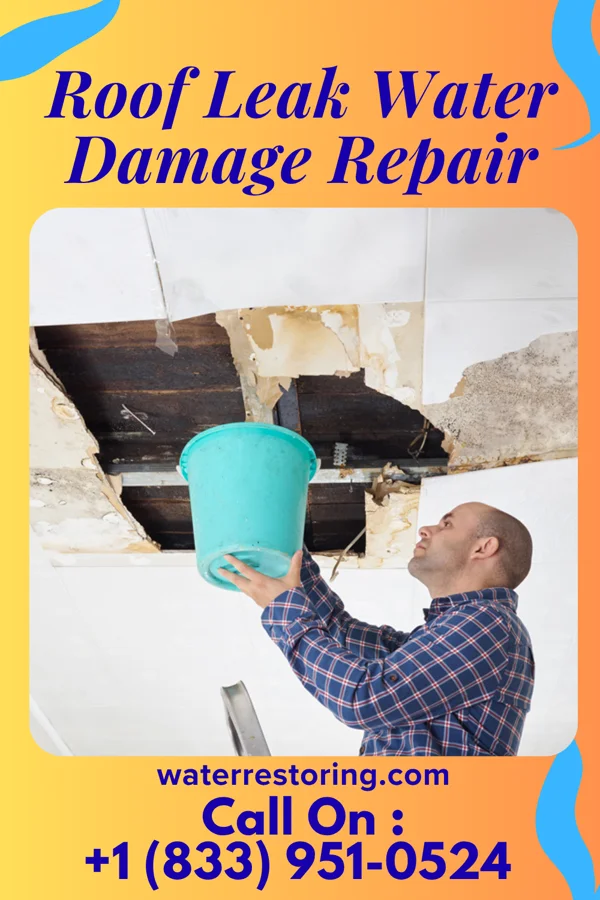 Roof Leak Water Damage Repair in Vilas, CO